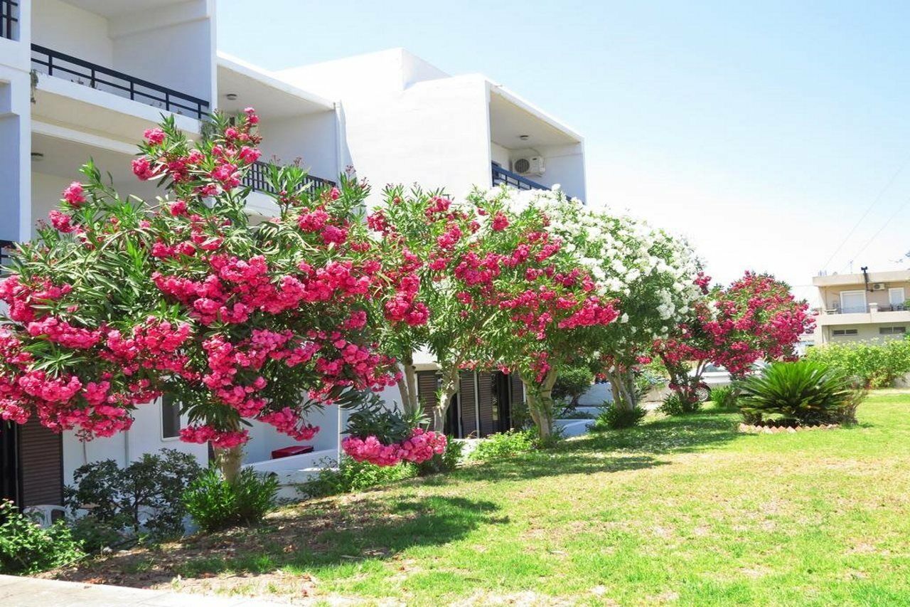 Debby Apartments 伊利索斯 外观 照片